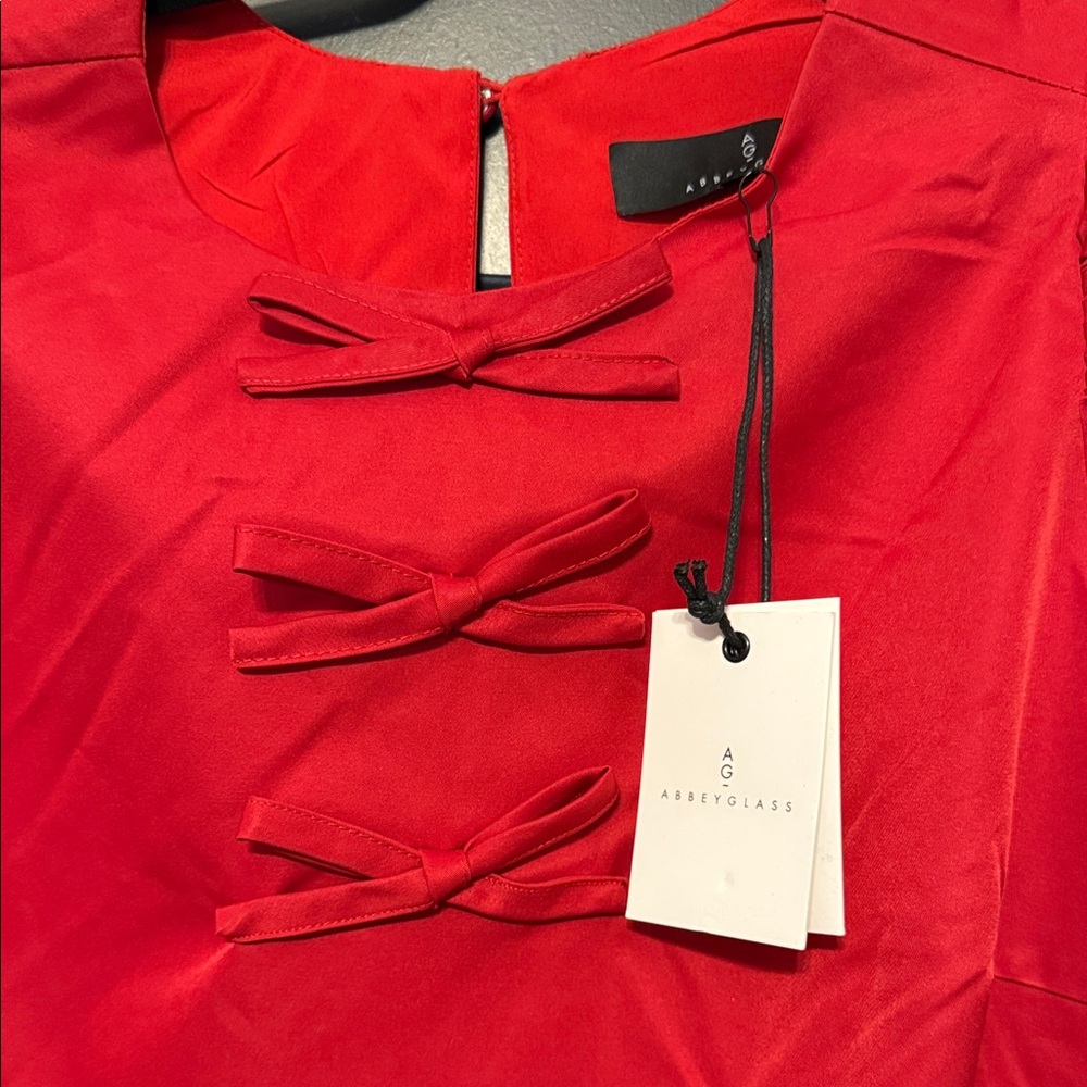 12- Abbey Glass Red Mini Dress